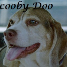 Scooby Doo .2001-2015